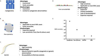 Optimizing Transplant Approaches and Post-Transplant Strategies for Patients With Acute Myeloid Leukemia